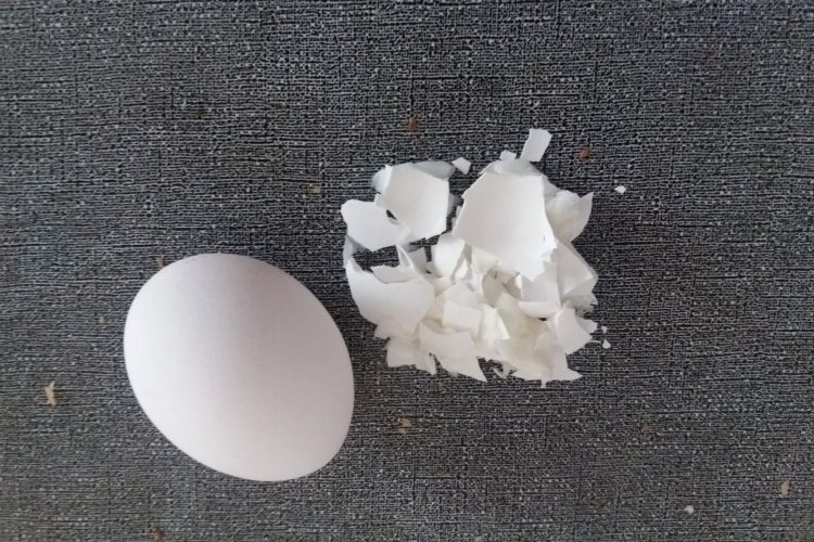 Yumurta kabuğu yeni sektör oluşturuyor -