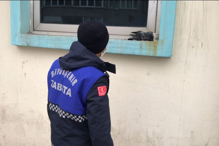 Zabıta’dan yaralı güvercine şefkat eli -