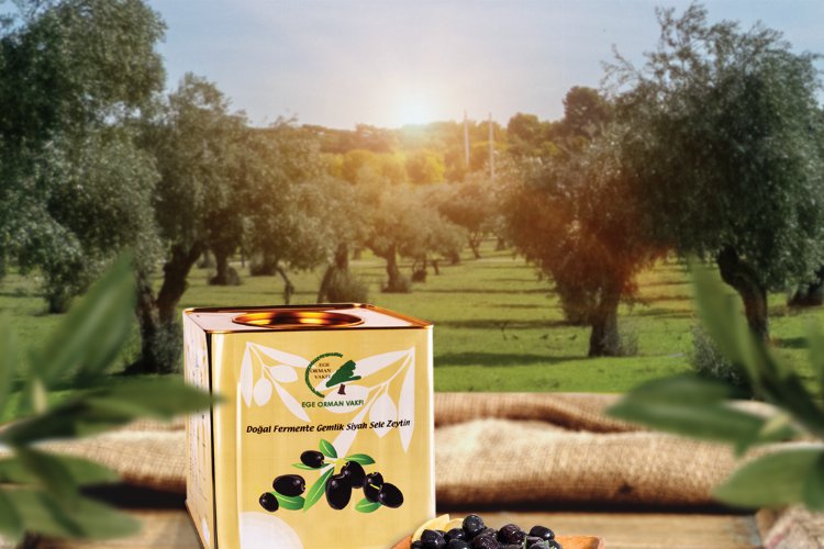 Zeytin satışları Kahta'da ormana dönüşecek -