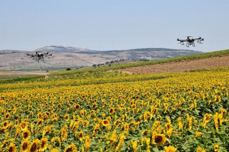 ZİHA’lar bu kez tırtıllar için havalandı -