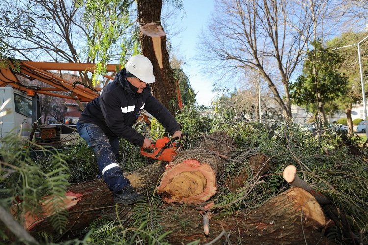 İzmir Gaziemir'de atık dallar evleri ısıtacak -