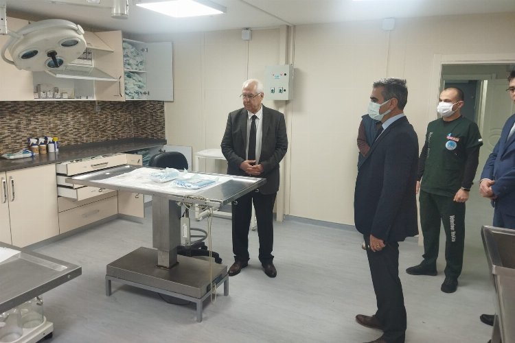 İzmir Karabağlar'da can dostlar için örnek sistem -