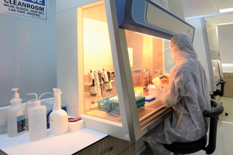 Türk bilim insanlarından Maymun Çiçeği için PCR Tanı Kiti! -
