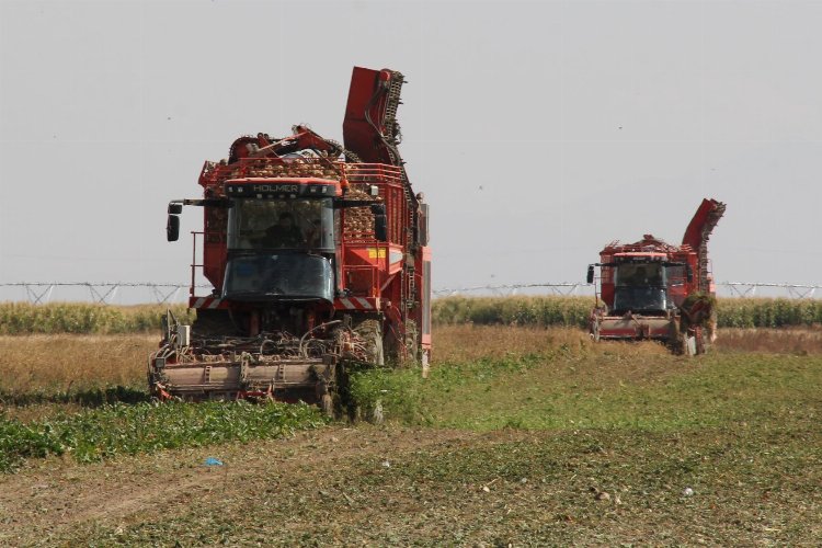 Üretici ortağa 181 milyon TL pancar söküm avansı -