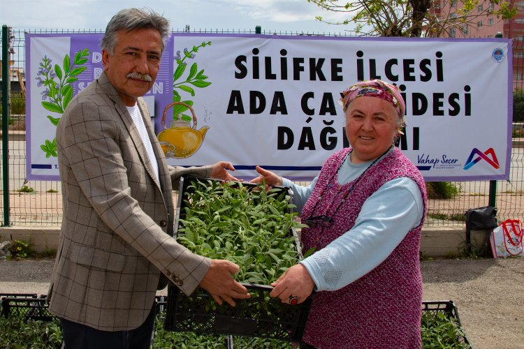 Üreticiler yeniden ada çayı fidesi ile buluştu -