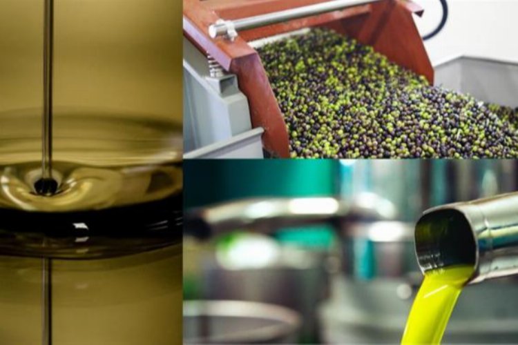 Zeytin karasuyu tarımda kullanılacak -