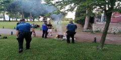 Kocaeli’de piknik alanları denetim altında
